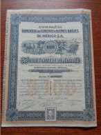 MEXIQUE - 3 TITRES - MEXICO 1910 - BANCARIA DE FOMENTO Y BIENES RAÎCES DE MEXICO - ACTION DE 100 $ - TIMBRE FISCAL - Other & Unclassified