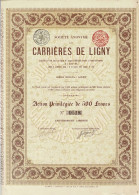 Titre De 1896 - Société Anonyme Des Carrières De Ligny - - Mines