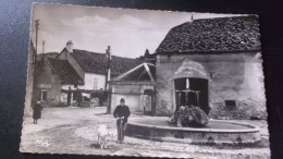 21 Blaisy Bas - RARE -Le Jet D'eau Et L'hotel Du Chevreuil HOMME TENANT UNE CHEVRE EN LAISSE  VOYAGEE - Other & Unclassified