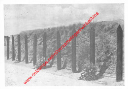 Memorial National Du Fort De Breendonk - Executiepalen Poteaux D'exécution - Breendonk Puurs - Puurs