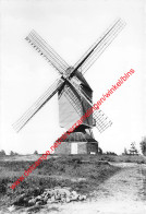 De Molen Bruggeneinde - Heist-op-den-Berg - Heist-op-den-Berg