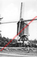 Standaard Molen - Kasterlee - Kasterlee