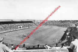 Antwerp Stadion - Voetbal RAFC Royal Antwerp Football Club - Deurne - Antwerpen
