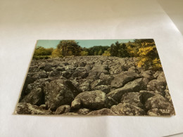 88.035.01 - CURIOSITE VOSGIENNE Champ De Roches à BARBEY - SEROUX Près De Granges-sur-Vologne - Granges Sur Vologne