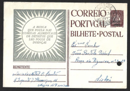 Disease Focus Flies. Covid. Rare Postal Stationery Of The Portuguese League Of Social Prophylaxis, 1954. Overload. 'The - Erste Hilfe