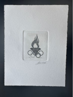 Belgique 1994 COB 2540 Epreuve D'artiste Proof 1er Jour FDC Jeux Olympiques Olympic Games Olympia Flamme Comité Olympiqu - Autres & Non Classés