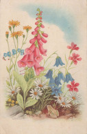 FLOWERS Vintage Postcard CPA #PKE512 - Flowers