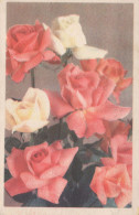 FLOWERS Vintage Postcard CPA #PKE500 - Flowers