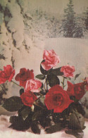FLOWERS Vintage Postcard CPA #PKE495 - Flowers