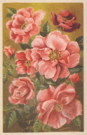 FLOWERS Vintage Postcard CPA #PKE490 - Flowers