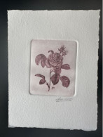 Belgique ? COB ? Epreuve D'artiste Proof 1er Jour FDC Fleur Blume Flower Rose Pierre-Joseph Redouté ? I - Roses