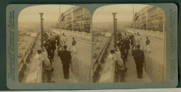 AFRICA AFRIQUE, ALGERIE. ORIGINAL STEREOVIEW 1900s - Stereoskope - Stereobetrachter