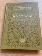 G.A.Amadeo Sculture E Architetto 1904 - Arte, Antigüedades