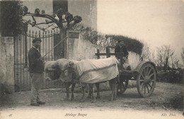 Attelage Basque * éditeur ND Photo N°41 * Boeufs Villageois - Andere & Zonder Classificatie