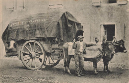 Castetnau Camblong * Attelage à Boeufs Ets MATABOS - Autres & Non Classés