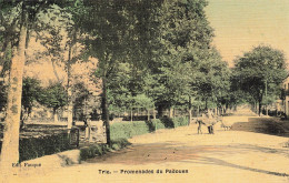 Trie * Promenades Du Padouen * âne Villageois * Cpa Toilée Colorisée - Autres & Non Classés