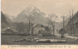 Le Peguère * Sur La Route De Pierrefitte , Environs De Cauterets * Village Hameau Le Peguère - Autres & Non Classés