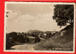 DBA-29  Aubonne édepuis La Route De St.-Livres Et Lavigny. Metzger 146  Circulé  - Aubonne