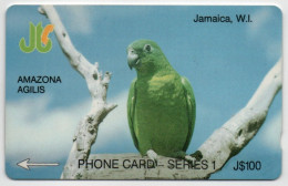 Jamaica - AMAZONA AGILIS - 13JAMD - Jamaica