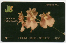 Jamaica - ONCIDIUM PULCHELLUM - 1JAMD - Jamaïque
