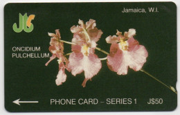 Jamaica - ONCIDIUM PULCHELLUM - 13JAMA - Giamaica