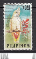 ##8, Philippines, Pilipinas, Perroquet, Parrot, Oiseau, Bird - Philippinen