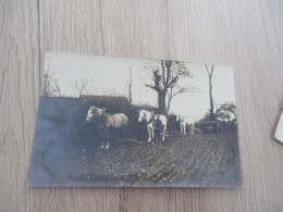 Carte Photo 80 Somme Hallivillers Labourage Dans Les Champs Famille Dupré  à Confirmer - Otros & Sin Clasificación