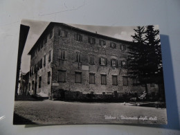 Cartolina Viaggiata "URBINO Università Degli Studi"  1954 - Senigallia