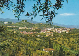 CARMIGNANO - PRATO - PANORAMA - 1980 - Prato