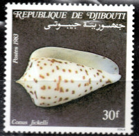 DJIBOUTI / FAUNE/ COQUILLAGE / N° 570 * * - Dschibuti (1977-...)