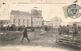 Ancenis * La Place Des Victoires Un Jour De Marché * Foire Aux Cochons * Marchands  - Ancenis