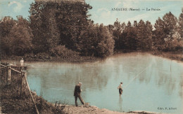 Anglure * Vue Sur La Pointe * Pêche à Ligne , Pêcheurs  - Anglure