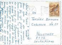 Postcard Yugoslavia Canceled 1973,stamp : 1972 Local Birds,Tetrax Tetrax - Brieven En Documenten