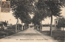 Boiscommun * L'avenue De La Gare  - Autres & Non Classés