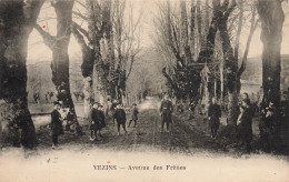 Vezins * Avenue De Frênes * Villageois - Autres & Non Classés