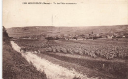 Monthelon * Route Chemin , Vue Des Pâtis Caommunaux * Vignes  - Other & Unclassified