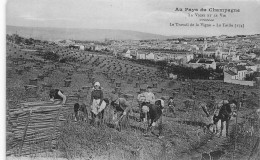 Au Pays Du Champagne * Le Travail De La Vigne * La Taille * Vin Vignoble  - Other & Unclassified