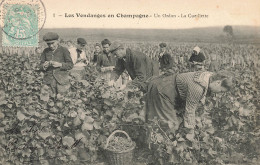 Les Vendanges En Champagne * Un Ordon * La Cueillette * Vendangeurs Vignes Vignoble  - Other & Unclassified