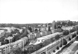 92-CHATENAY-MALABRY- VUE PANORAMIQUE SUR LA BUTTE-ROUGE - Chatenay Malabry