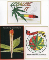 Lot De 3 Cartes Postales - Thème Cannabis - Plantes Médicinales