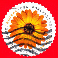 USA - STATI UNITI - Usato - 2022 - Fiori - Francobolli In Tondo - Margherita - African Daisy - GLOBAL FOREVER - Gebruikt