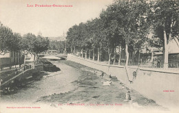 Perpignan * Les Quais Et La Basse * Lavoir Laveuses Lavandières Blanchisseuses - Perpignan