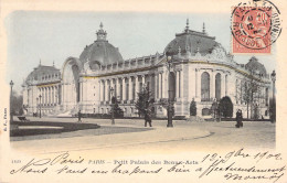 FRANCE - 75 - PARIS - Petit Palais Des Beaux Arts - Carte Postale Ancienne - Autres Monuments, édifices