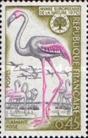 France 1970 - One European Nature Conservation Year Environment Fauna Bird Animals Flamingo Birds Stamp MNH - Flamencos