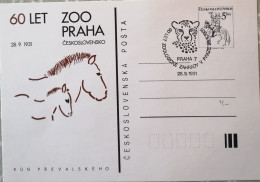 Tschechoslowakei Postkarte 1991 60 Jahre Zoo Prag Wildpferde Und Leopard - Sonstige & Ohne Zuordnung