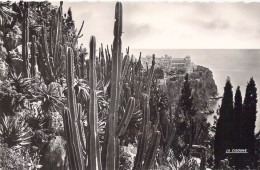 MONACO - Le Jardin Exotique - Vue Sur Le Rocher De Monaco - Carte Postale Ancienne - Exotic Garden