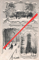 Litho AK Unger Ungerberg Gasthof Turm Rodelbahn Winter A Krumhermsdorf Rugiswalde Neustadt Sebnitz Sächsiche Schweiz - Neustadt