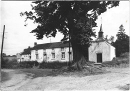 PONT-A-CELLES  Chapelle N.-D. De Grâces - Pont-à-Celles