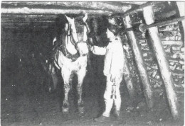 Charbonnage Dans La Fosse Un Accrochage - Mines