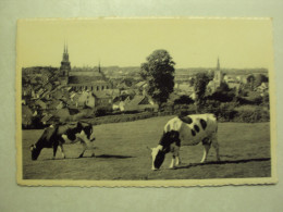 48842 - EUPEN - VUE SUR LA VILLE HAUTE - ZIE 2 FOTO'S - Eupen